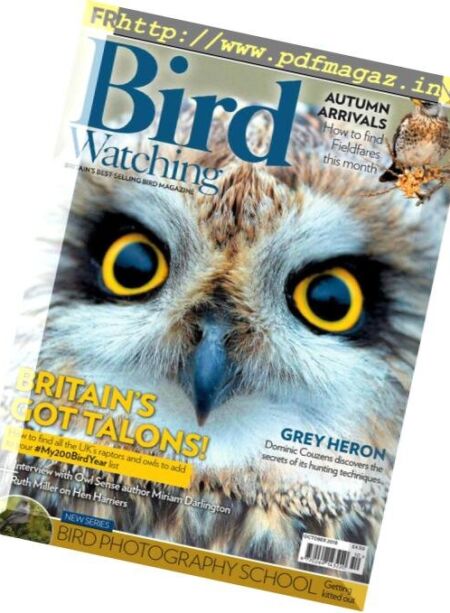 Bird Watching UK – October 2018 Cover