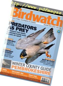 Birdwatch UK – December 2018