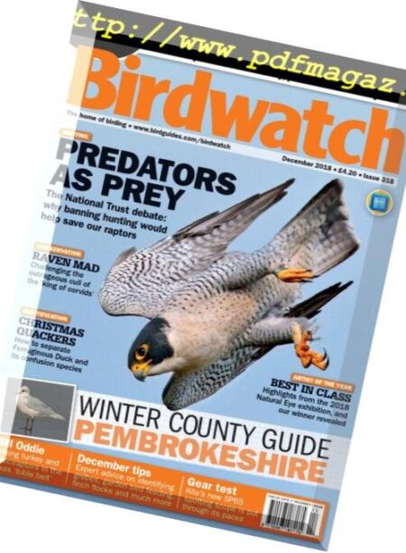 Birdwatch UK – December 2018 Cover
