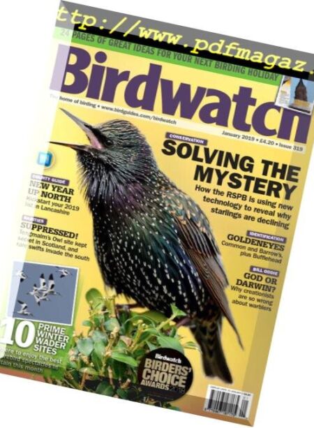 Birdwatch UK – January 2019 Cover