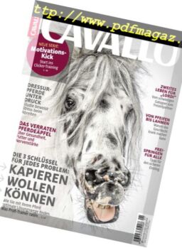 Cavallo – Dezember 2018