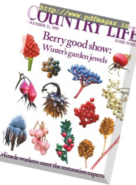 Country Life UK – November 21, 2018 Cover