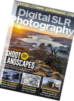 Digital SLR Photography – January 2019
