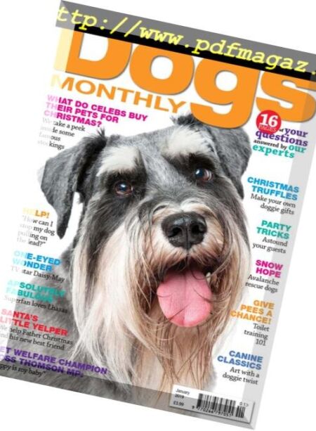 Dogs Monthly – January 2019 Cover