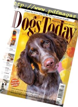 Dogs Today UK – January 2019