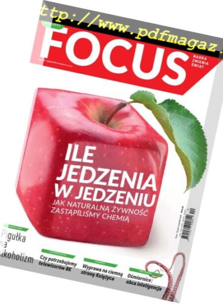 Focus Poland – Grudzien 2018 Cover