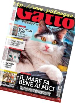 Gatto Magazine – Agosto-Settembre 2018