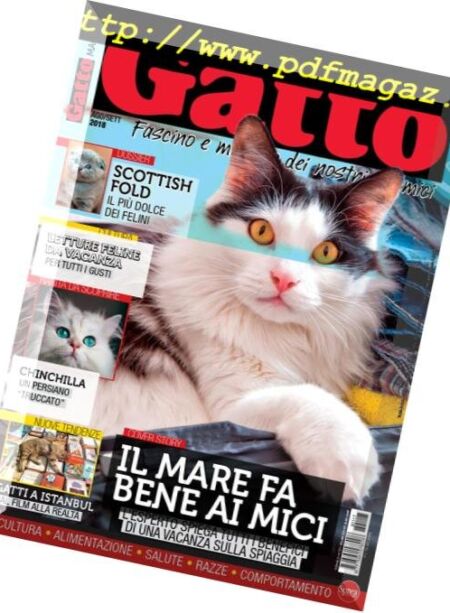 Gatto Magazine – Agosto-Settembre 2018 Cover