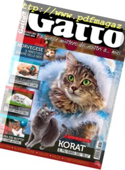 Gatto Magazine – Dicembre 2017 – Gennaio 2018