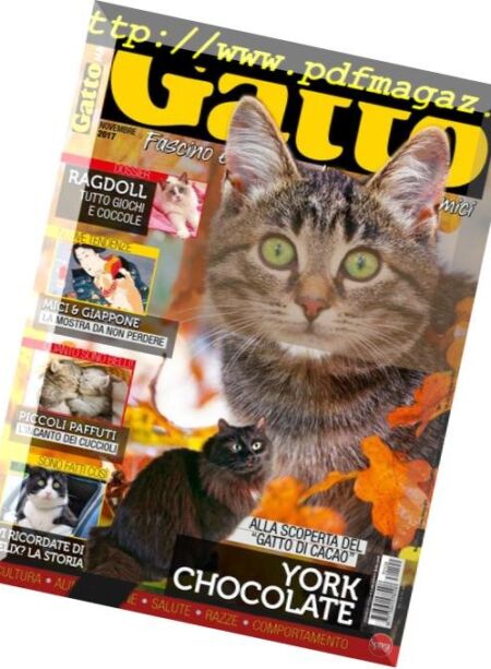Gatto Magazine – Novembre 2017 Cover