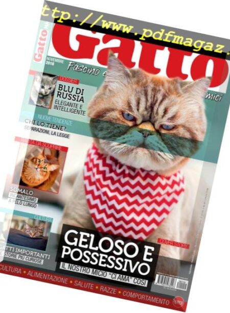 Gatto Magazine – Novembre 2018 Cover
