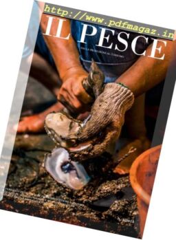 IL Pesce – Agosto 2018