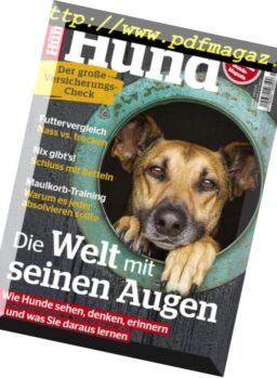 Partner Hund – Januar 2019