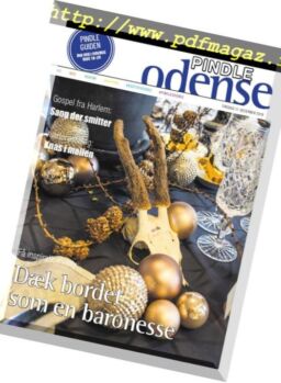 Pindle Odense – 11 december 2018