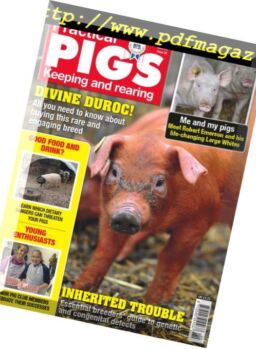 Practical Pigs – December 2018