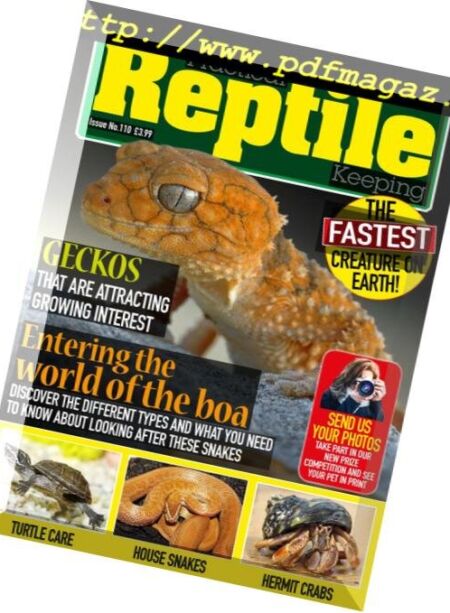 Practical Reptile Keeping – December 2018 Cover