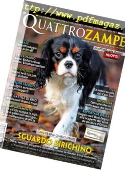 QuattroZampe – Novembre 2018