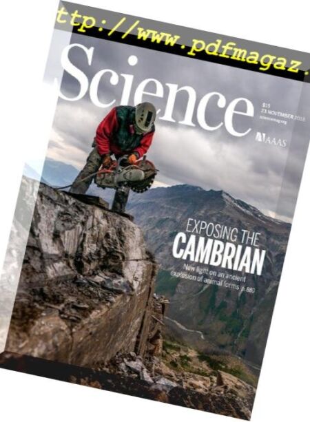 Science – 23 November 2018 Cover