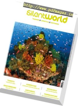 Silent World – Nr53, 2018