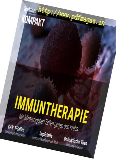Spektrum Kompakt – Dezember 2018 Cover