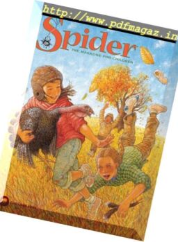 Spider – November 2018