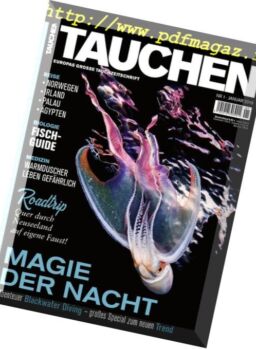 Tauchen – Dezember 2018