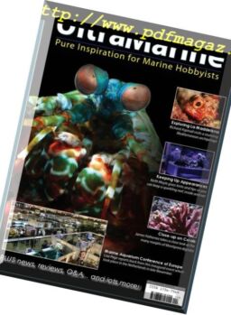 UltraMarine – December 2018