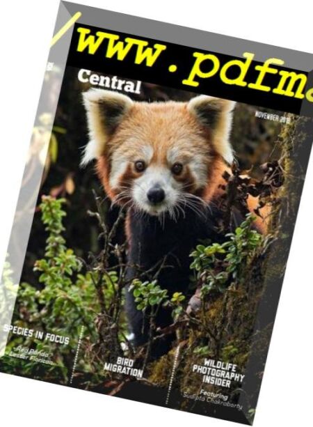 Wildlife Central – November 2018 Cover