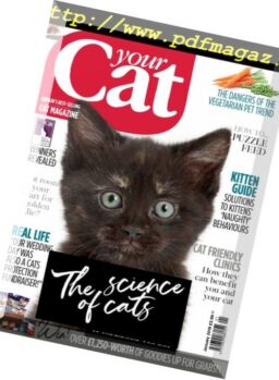 Your Cat – January 2019