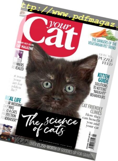 Your Cat – January 2019 Cover