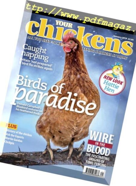 Your Chickens – January 2019 Cover