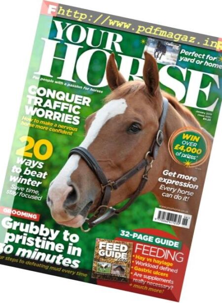 Your Horse – January 2019 Cover