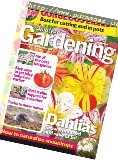Amateur Gardening – 12 February 2019 Cover