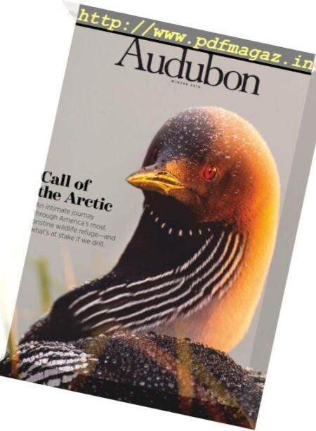 Audubon Magazine – December 2018 Cover