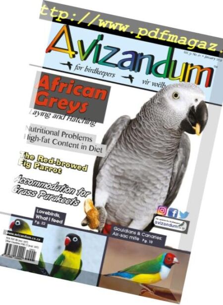 Avizandum – January 2019 Cover