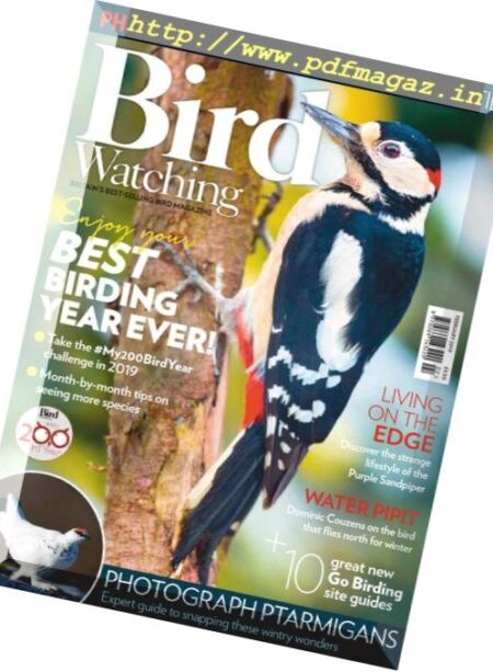 Bird Watching UK – February 2019 Cover