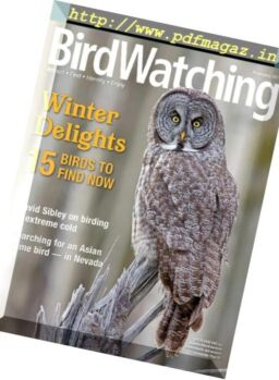 BirdWatching USA – January-February 2019