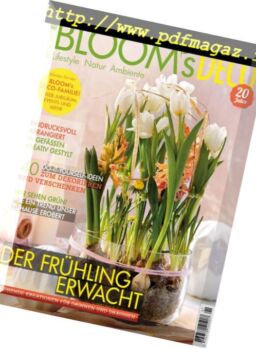 Bloom’s Deco – Januar-Februar 2019