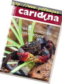 Caridina – Nr4, 2018