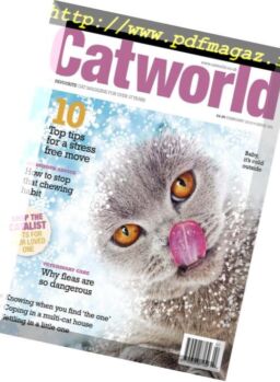 Cat World – February 2019