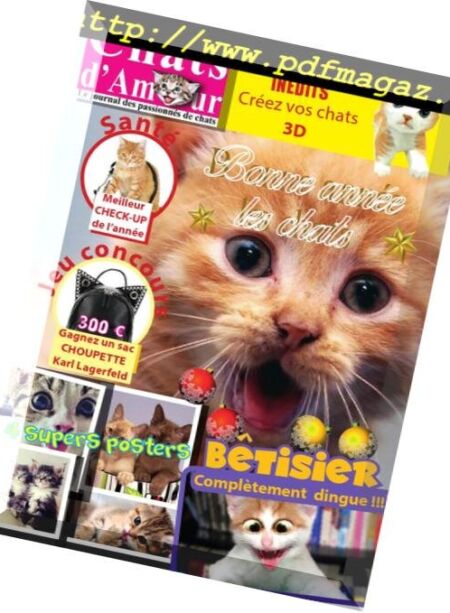 Chats d’Amour – janvier 2019 Cover