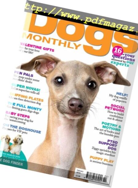 Dogs Monthly – February 2019 Cover