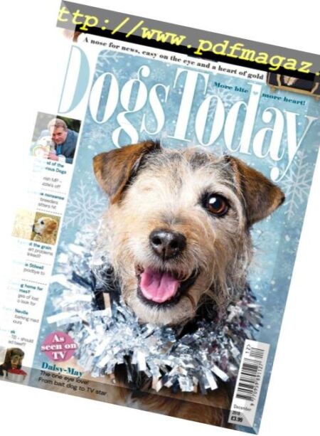 Dogs Today UK – December 2018 Cover