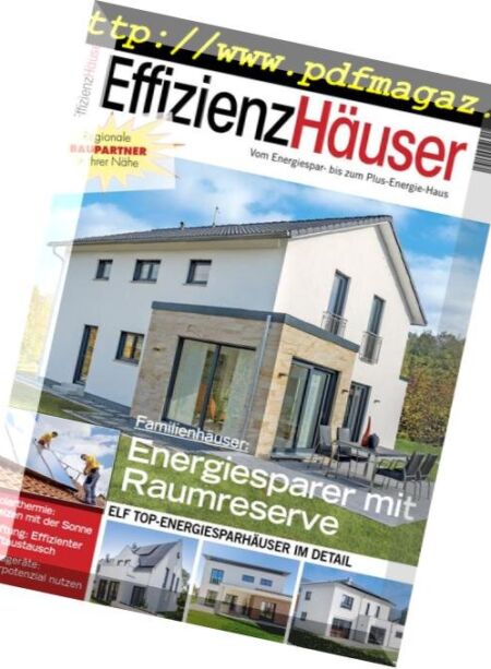 EffizienzHauser – Januar 2019 Cover