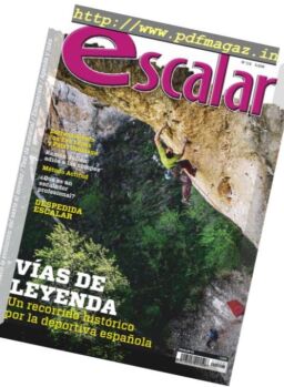 Escalar – diciembre 2018