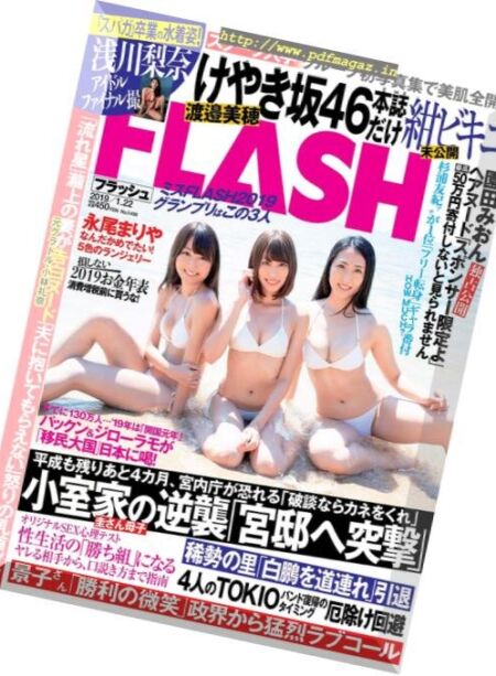 Flash – 22 January 2019 Cover