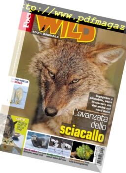 Focus Wild – febbraio 2019