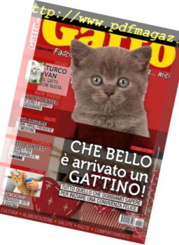 Gatto Magazine – Febbraio 2019