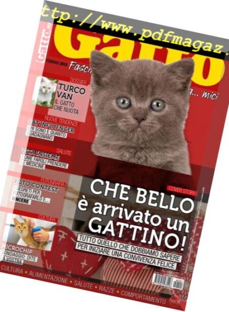 Gatto Magazine – Febbraio 2019 Cover