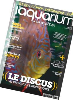 l’Aquarium a la Maison – janvier-fevrier 2019